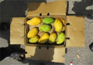 آغاز زمان ثبت‌نام در جشنواره امتنان از کارگران، گروه‌های کار و واحد‌های نمونه سیستان و بلوچستان