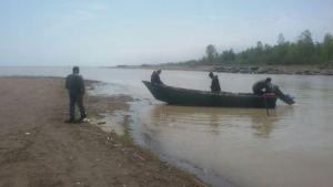 جمع آوری دامهای غیرمجاز در حاشیه رودخانه ها