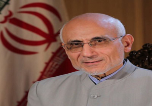من مخالف سرمایه گذاری خارجی نیستم