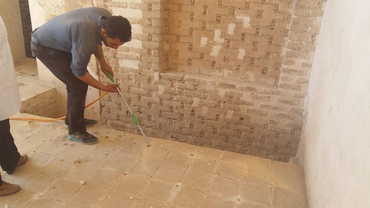 مبارزه با آفات بیولوژیک در مسجد جامع ساوه انجام شد