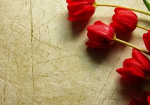 راه سعادت فقط از مسیر شهادت می‌گذرد
