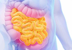 نقش غذاهای منجمد در بروز بیماری های روده ای