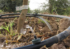 تجهیز ۵ هزار هکتار از اراضی کشاورزی لرستان به سیستم‌های نوین آبیاری