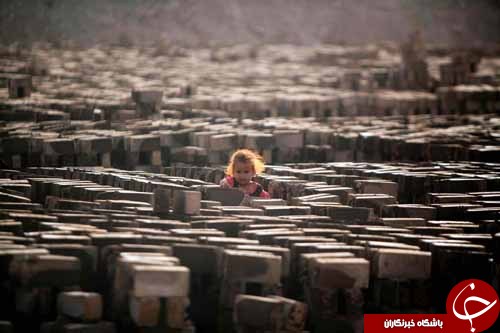 تصاویر روز: از پوستر فستیوال فیلم کن تا تظاهرات در روز نکبه