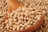 كشت سويای بهاره در 400 هکتار