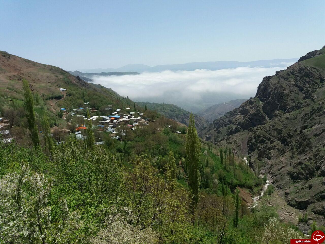 طبیعت دل انگیز سفیدآب در قاب تصویر