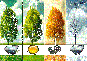 هوای صاف تا قسمتی ابری