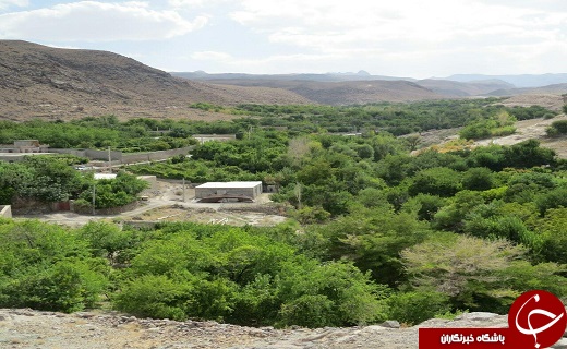 چشمه ای جوشان  در دل صخره
