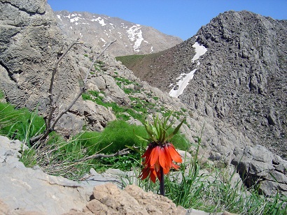 روستای شمشیر؛ سکونتگاهی امن در سینه&zwnj;کش کوه