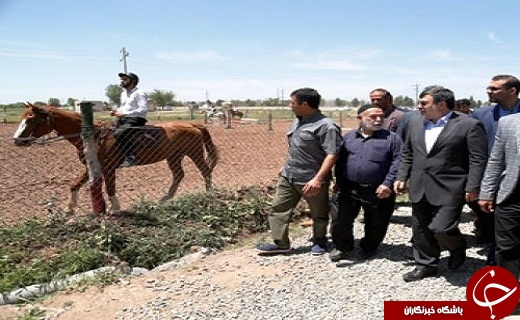 افتتاح دو طرح ورزشی