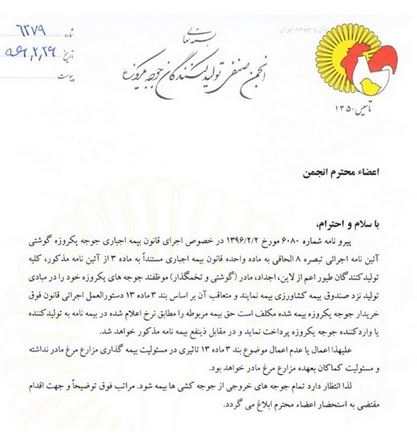 بیمه جوجه یک روزه اجباری شد