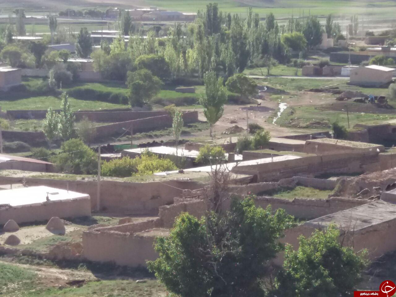 طبیعت بکر و زیبا در قهوردسفلی + تصاویر
