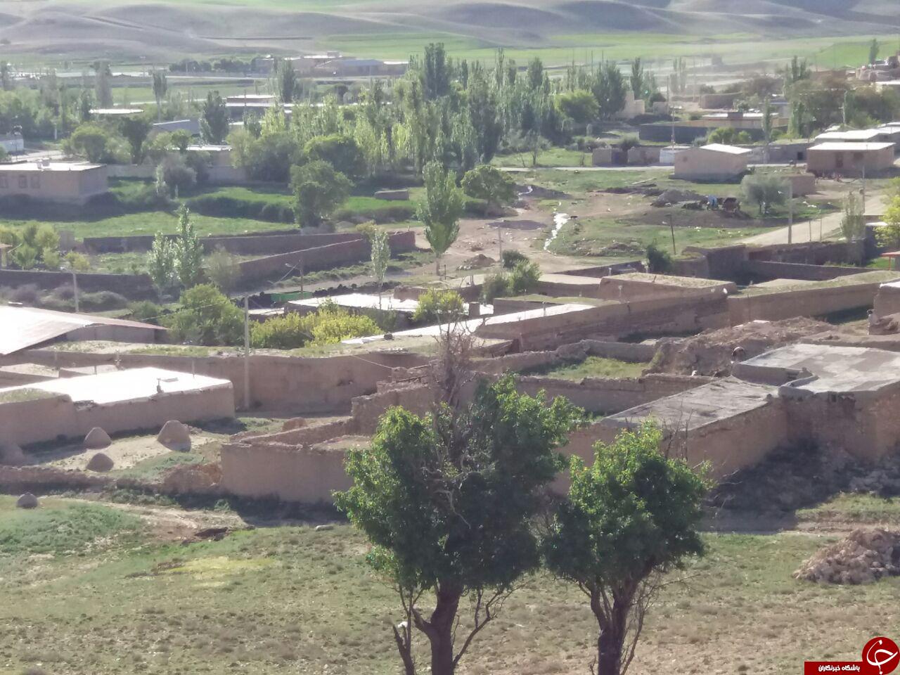 طبیعت بکر و زیبا در قهوردسفلی + تصاویر
