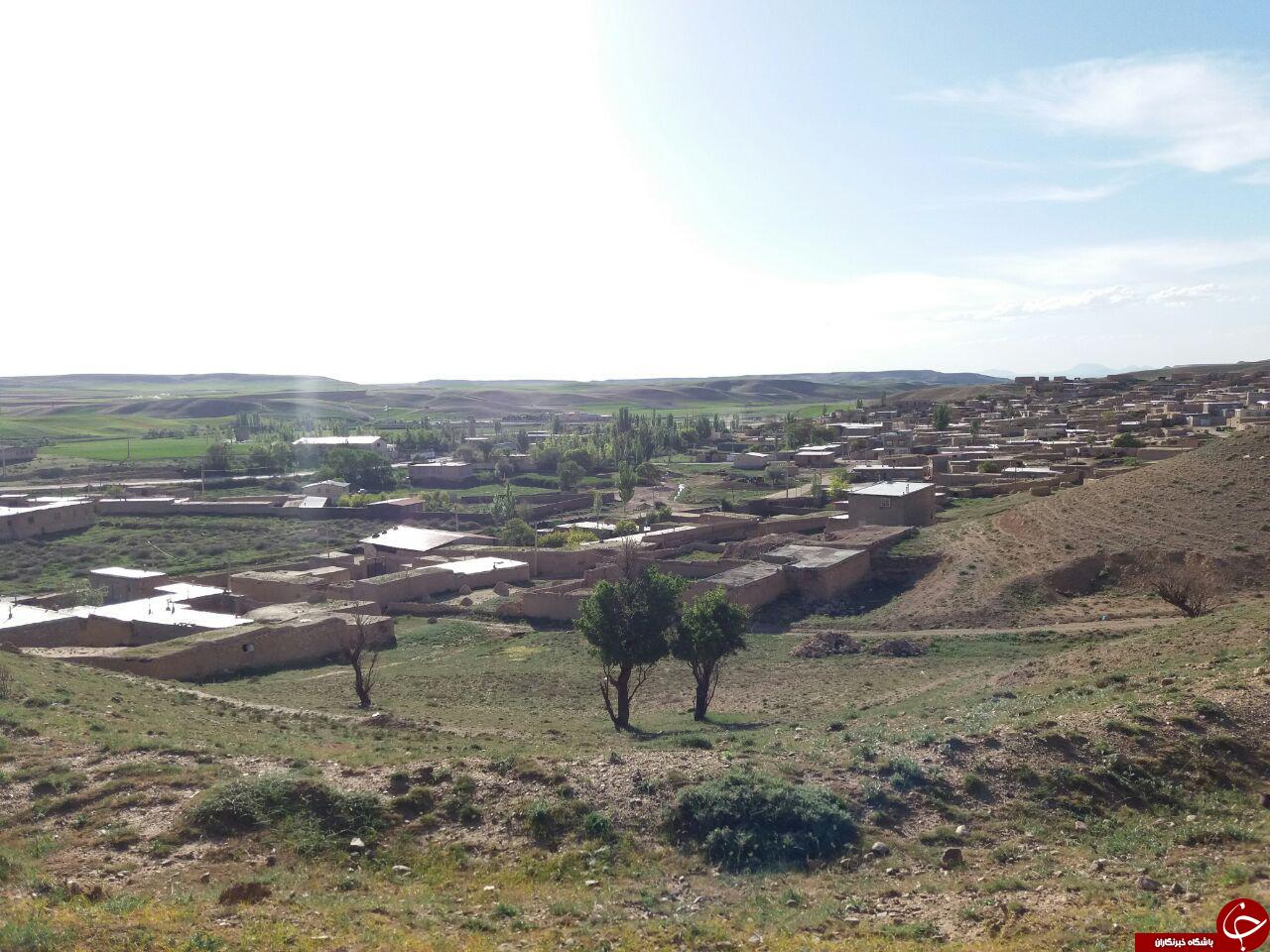 طبیعت بکر و زیبا در قهوردسفلی + تصاویر