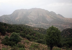 مدیریت ۸ درصد از خاک استان در قالب مناطق حفاظت شده
