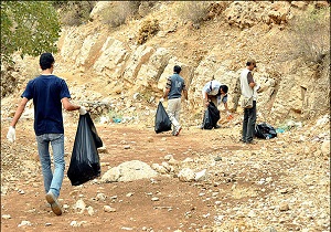 پاکسازی منطقه جنگلی اسلام آباد غرب