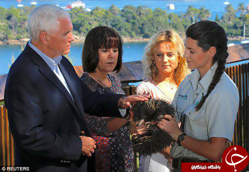 بازدید معاون ترامپ از حیوانات بومی استرالیا+ تصاویر
