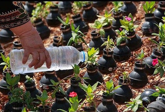 آموزش كاشت گل به بيماران مركز جامع توانبخشي در مسجدسليمان