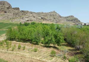 بسته