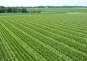 رونمایی از ۲۴۵ طرح عمرانی- تولیدی جهاد کشاورزی قزوین