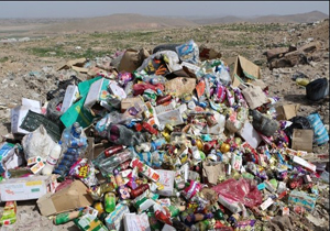 امحای چهار تن انواع موادغذایی غیرقابل مصرف در میاندوآب