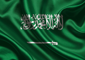 جنگنده ائتلاف سعودی در یمن سرنگون شد