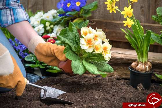 نکاتی برای فروش سریع&zwnj;تر خانه +تصاویر