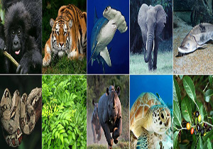 بازدید رایگان اعضای کانون های محیط زیست محلات از موزه‌های حیات وحش تهران