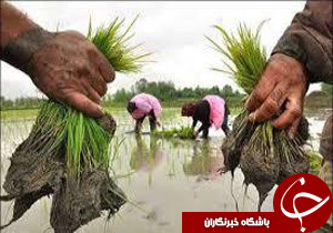 نگاهی گذرا به مهمترین رویدادهای 30 اردیبهشت در مازندران