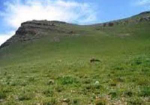 واگذاری 600 هکتارمرتع به بهره برداران درمهاباد