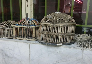 دستگیری دو شکارچی غیر مجاز در بیرجند