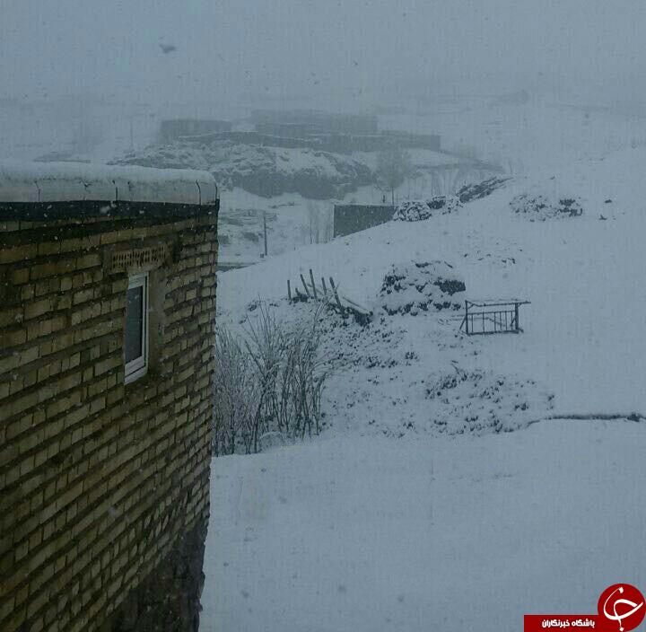بارش برف روستای بلسور سفلی را سفیدپوش کرد + تصاویر