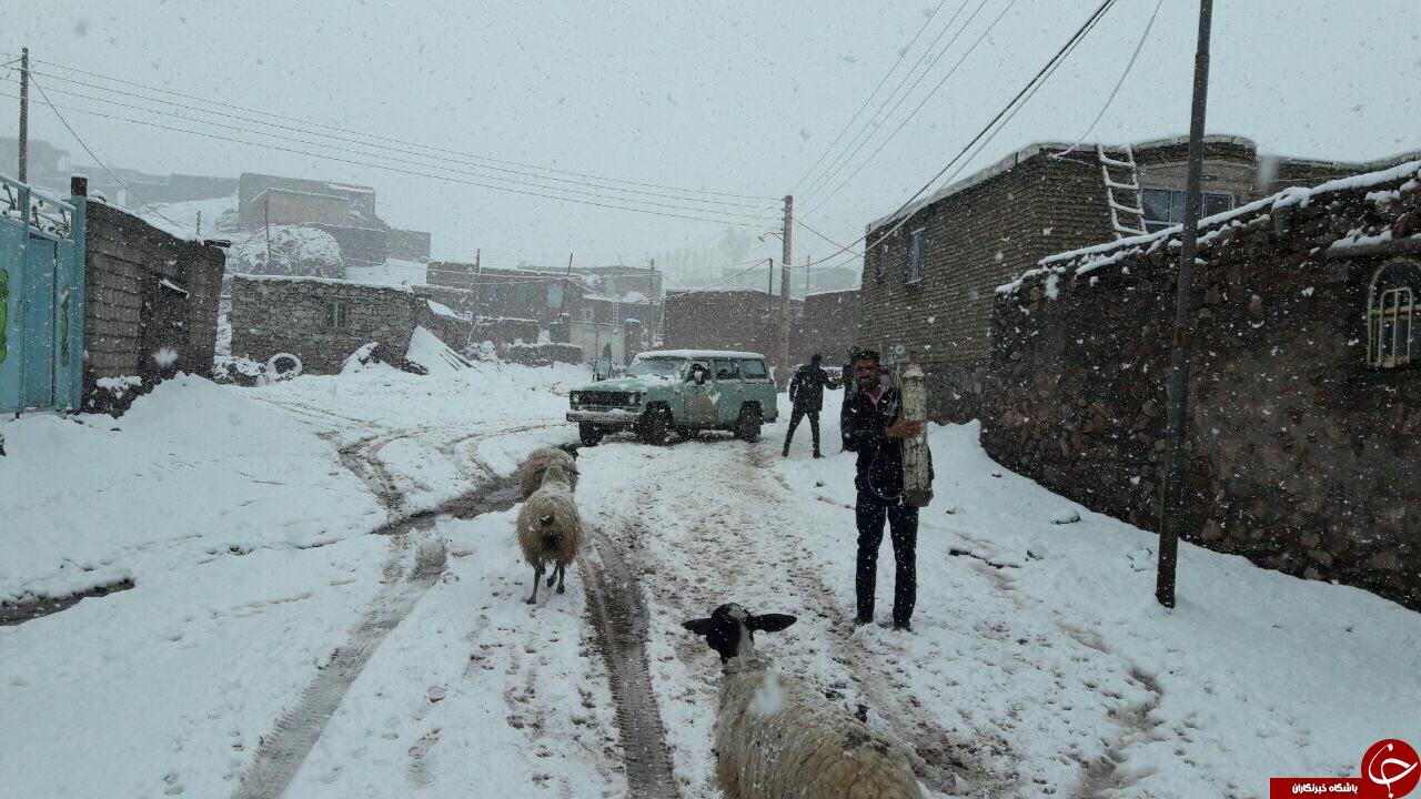 بارش برف روستای بلسور سفلی را سفیدپوش کرد + تصاویر
