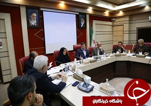 ضرورت توجه کارشناسی به ورزش استان