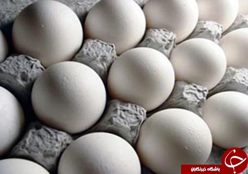 گزارش تصویری استان ها