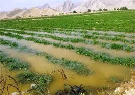 هشدار هواشناسی به کشاورزان در زنجان