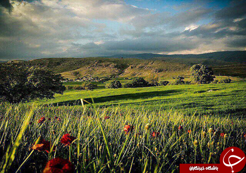 اردیبهشت لرستان را از دست ندهید + تصاویر