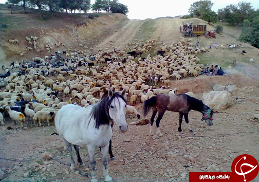 اردیبهشت لرستان را از دست ندهید + تصاویر
