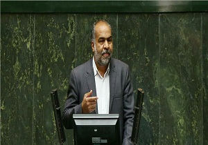 انتقاد صباغیان از برخی قوانین محیط زیست