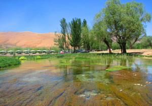 پیش بینی وزش باد و "بارش پراکنده باران"