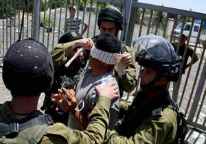 نبرد آزادی و کرامت در فلسطین به روز هشتم رسید