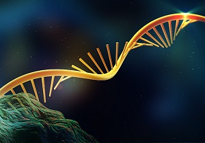 جایگزین جدید پادتن معرفی شد