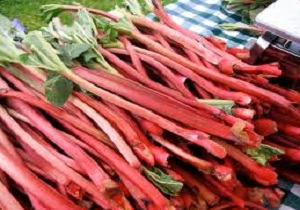 همه چیز درباره ریواس