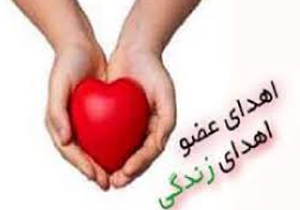 اهداء عضو جوان مرگ مغزی به 3 بیمار