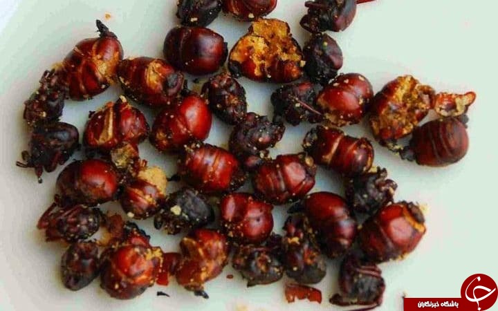 تنقلات عجیب در سینماهای برخی از کشورهای جهان +تصاویر