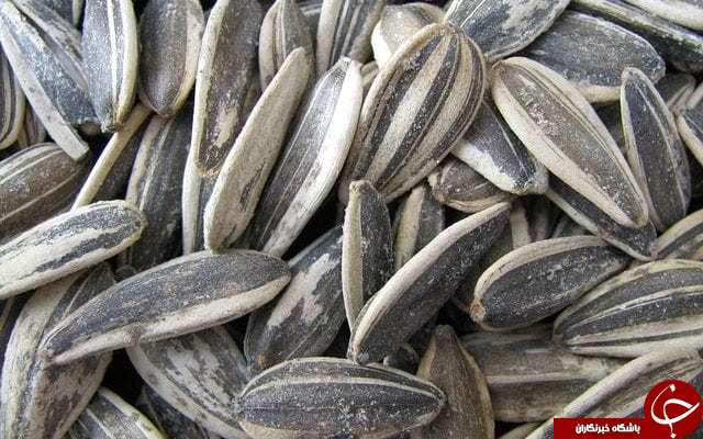 تنقلات عجیب در سینماهای برخی از کشورهای جهان +تصاویر