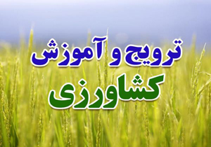 برگزاری 550 طرح آموزشی ترویجی بخش کشاورزی