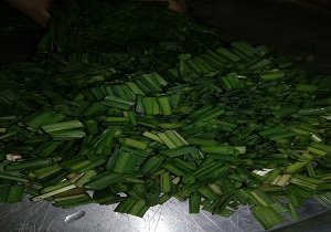 خواص گیاهان خوراکی بهاری