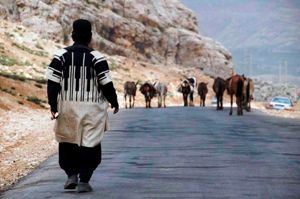 بیمه بودن 80 هزار خانوار روستایی و عشایری خوزستان