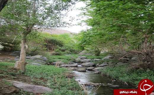 تمین قطعه ای از بهشت در جنوب شرق کشور + تصاویر